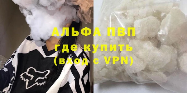прущие грибы Алзамай