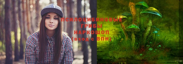 прущие грибы Алзамай