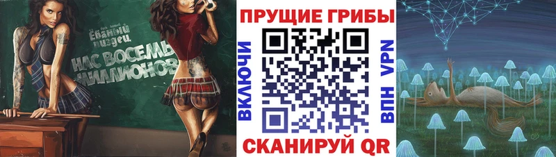 Галлюциногенные грибы MAGIC MUSHROOMS  Лахденпохья 