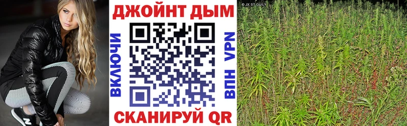 мориарти наркотические препараты  закладка  Лахденпохья  Бошки марихуана SATIVA & INDICA 